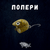 Попери